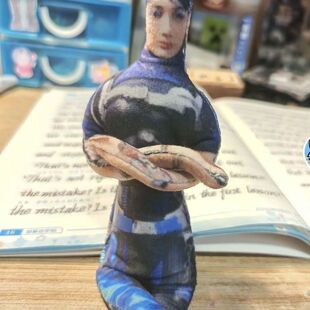 使命召唤蓝蔷薇罗兹老鼠干内置铁丝骨架四肢毛绒造型抽象玩偶diy