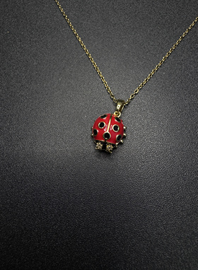 Vintage古著设计感古早风瓢虫项链