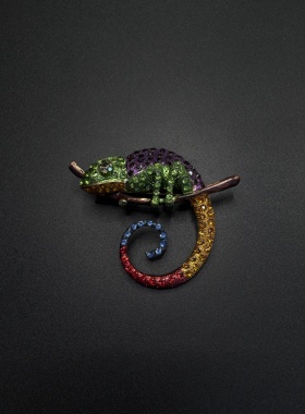 Vintage古着小众设计感高级感气质胸针女新款潮少女胸针B60557