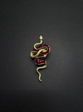 Vintage古着设计感古早风独特小众胸针复古灵蛇胸针H72057