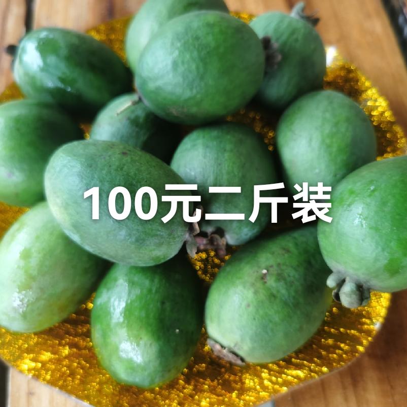 新西兰斐济果菲油果费约果斐济果当季新奇鲜果（已结束）