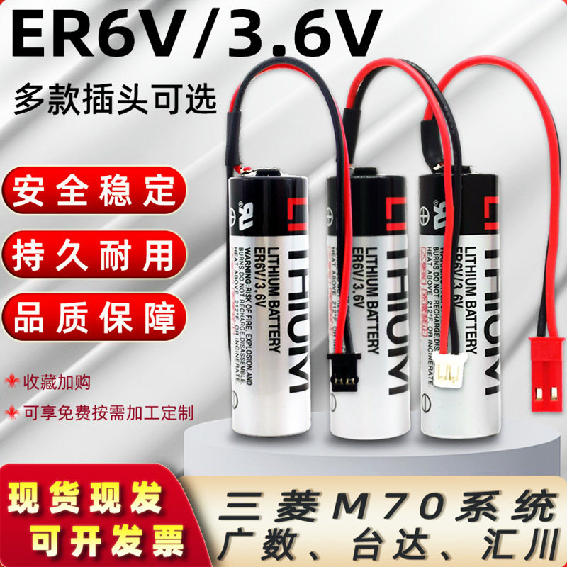 ER6V119A/119BM70M80系统电池图片