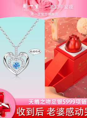 圣诞节礼物新国标足银项链