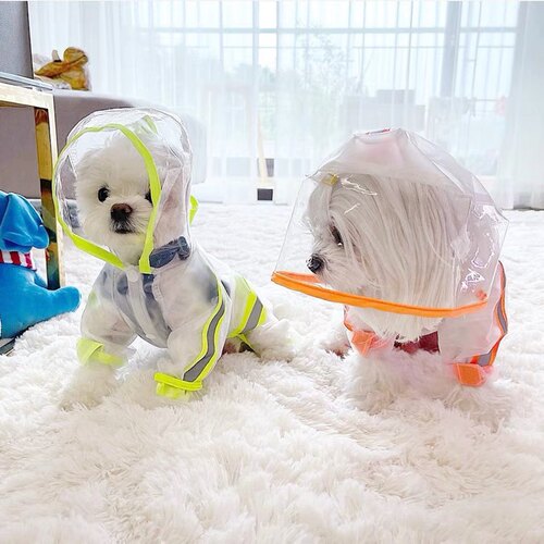 小型犬防水雨披嬉皮狗全包小型犬