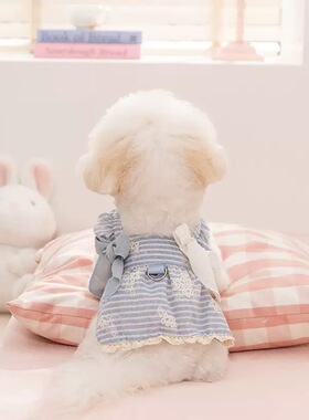 26年新款春夏薄款背心透气吊带裙比熊约克夏宠物公主裙子狗狗衣服