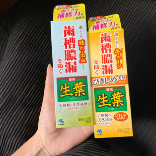 现货日本进口小林制药生叶牙膏齿槽浓漏植物配方牙周牙龈口腔护理