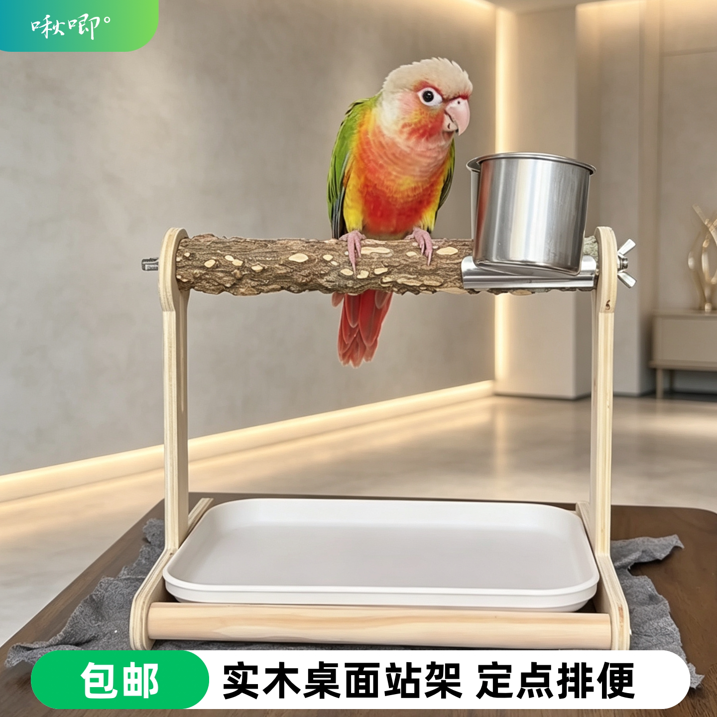 鹦鹉专用站杆实木站架定点排便