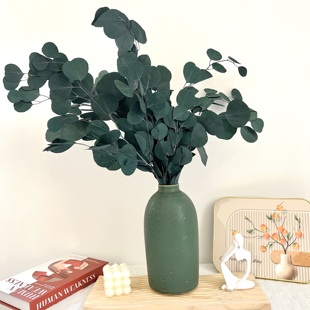 永生苹果叶尤加利叶干花花束北欧风家居摆件装饰diy材料婚庆花艺
