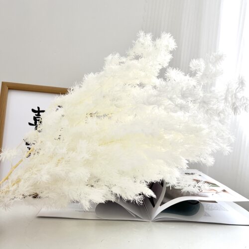 (ins风永生蓬莱松)客厅桌面装饰