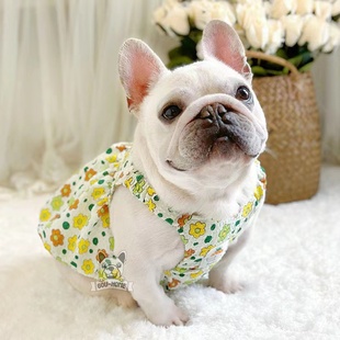 法斗衣服夏季 小裙子狗狗背心南瓜裙短体斗牛犬胖狗巴哥犬 薄款