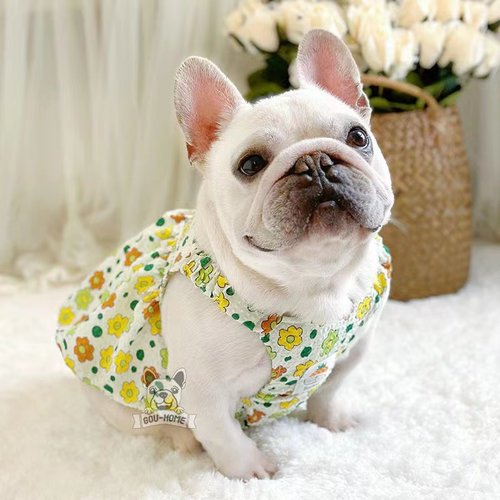 夏季薄款南瓜裙法斗衣服