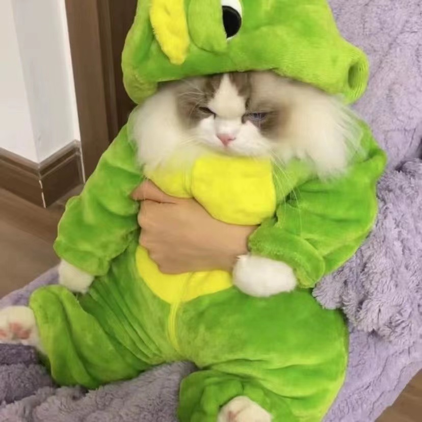 可爱猫咪衣服小恐龙可爱法兰绒