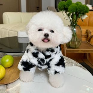 美拉德奶牛毛绒 宠物棉衣猫咪约克夏比熊保暖牵引衣服 冬季