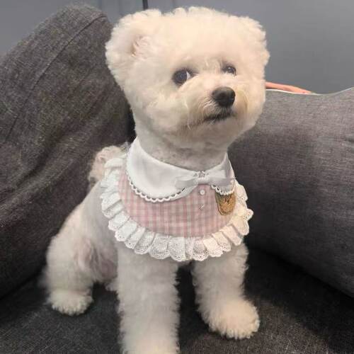 猫咪狗可爱围兜宠物蕾丝布艺口水巾手工编织拍照饰品围脖装饰项圈