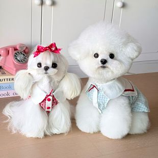 狗狗宠物衣服新款 雪纳瑞猫咪幼犬 格子比熊春夏泰迪小型南瓜裙薄款