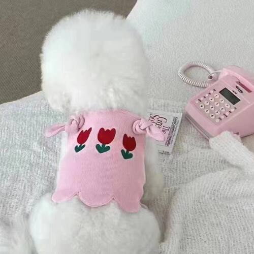 ins风宠物衣服狗狗猫咪马卡龙背心中小型犬泰迪比熊柯基春秋夏季