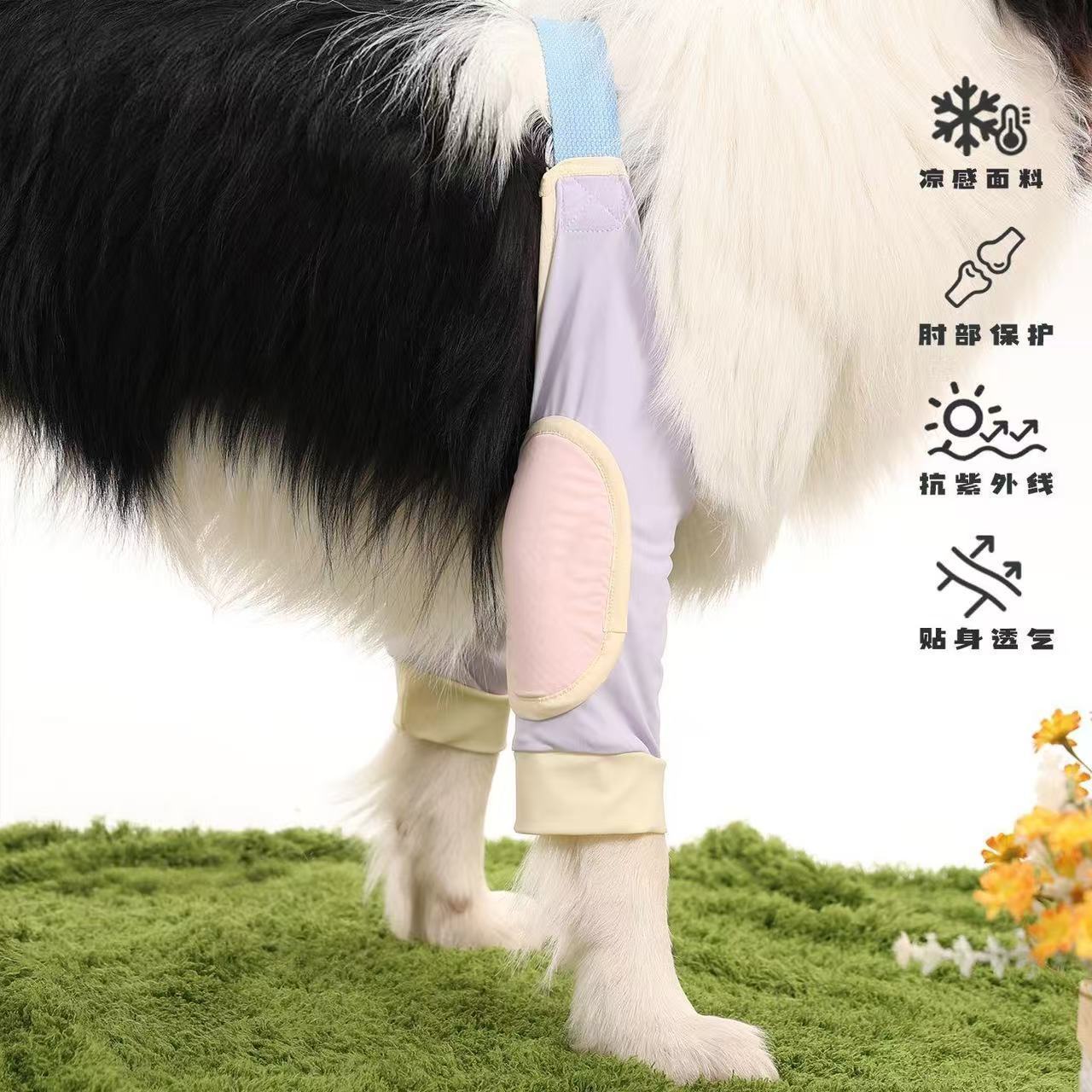 宠物狗狗专用护肘衣金毛边牧中大型犬防舔防磨前腿关节保护套护膝