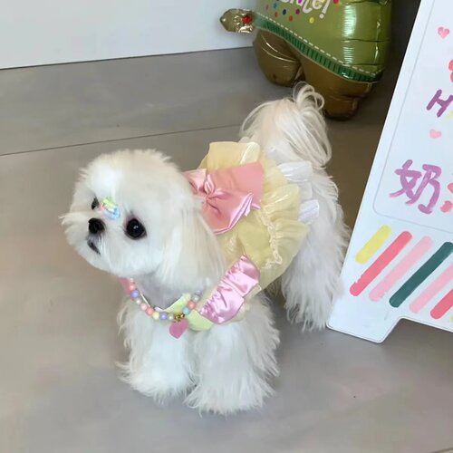 宠物衣服狗狗猫咪春夏季薄款 蕾丝蝴蝶结可爱公主裙洛丽塔女仆装~