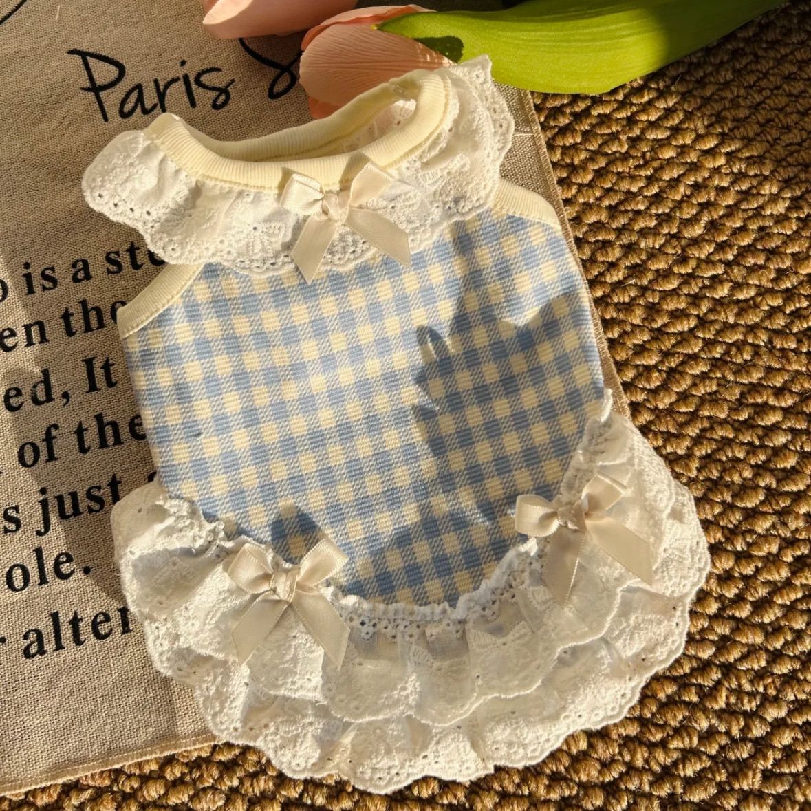 夏季狗狗衣服小型犬泰迪博美约克夏花边衣服爱可爱裙子薄