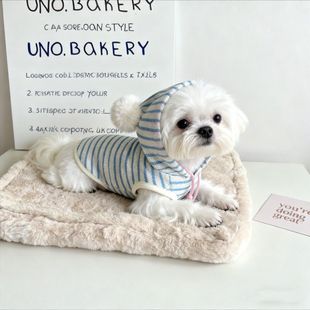 秋季 宠物狗狗布泰迪偶猫保暖背心绒衣宠物狗狗衣服幼猫防掉毛