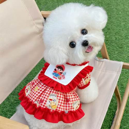 小狗衣服秋冬厚款小型犬可爱公主猫咪狗衣服甜心女孩冬裙双层