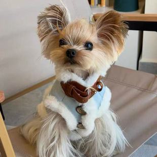 宠物秋冬装 狗狗衣服小型幼犬可牵引保暖马甲 泰迪比熊博美猫咪秋季