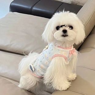 宠物猫咪狗狗衣服秋冬保暖可爱夹棉泰迪衣服博美比熊小型犬ins风