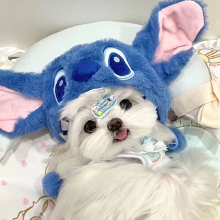 马尔济斯头套史迪奇帽子史迪仔搞怪变装 帽宠物小狗狗猫咪可爱头饰