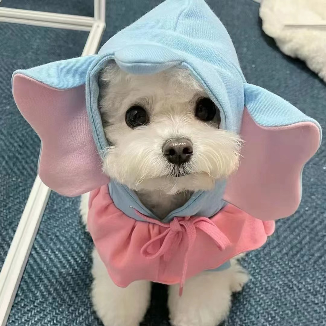 马尔济斯可爱衣服小飞象