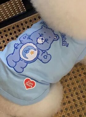 ins韩国宠物T恤套头春秋衣服