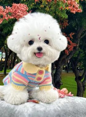 狗狗秋冬新款约克夏背心彩虹毛衣比熊雪纳瑞针织马甲马尔济斯