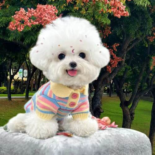 狗狗秋冬新款约克夏背心彩虹毛衣比熊雪纳瑞针织马甲马尔济斯