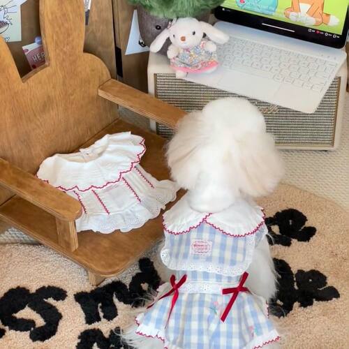 宠物夏季狗狗衣服泡泡格子猫咪公主香风居家熊博美服泰迪比裙子