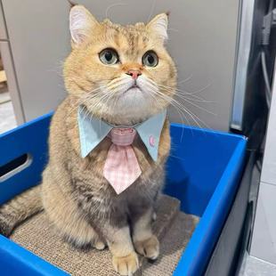 猫咪狗可爱围兜宠物蕾丝布艺口水巾手工编织拍照饰品围脖装 饰项圈