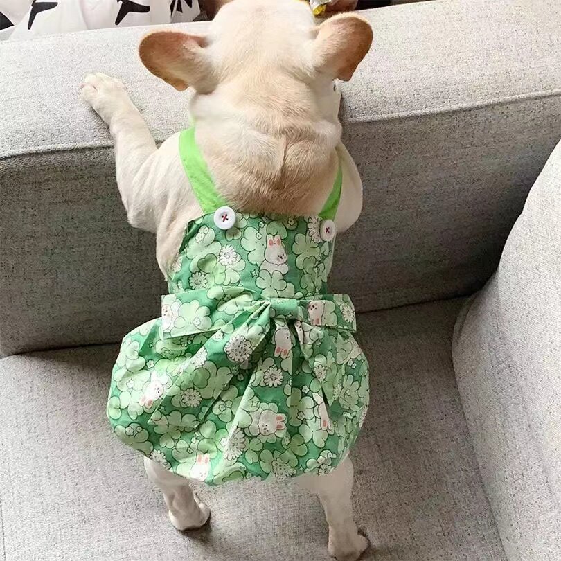 宠物狗狗夏季吊带背心裙子法斗斗牛泰迪雪纳瑞比熊中型犬猫咪衣服