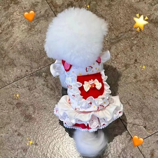 衣服宠物小型幼犬比熊博美约克夏猫咪春夏薄款 泰迪裙子小狗狗夏季