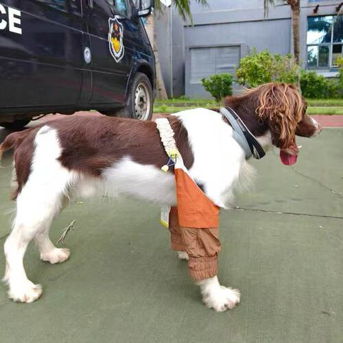 宠物狗狗专用护肘衣金毛边牧中大型犬防舔防磨前腿关节保护套护膝