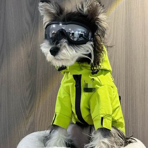 狗狗衣服防水冲锋衣雪纳瑞比熊泰迪柴犬西高地宠物服饰雨衣