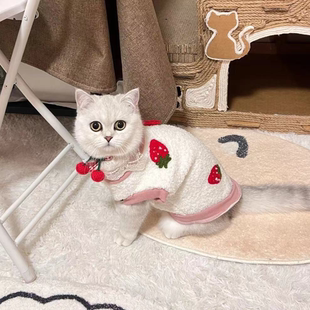 可爱羊羔毛草莓小背心 猫咪狗狗秋冬宠物保暖衣服马甲比熊