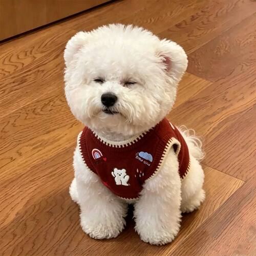 狗狗秋冬狗狗猫咪毛衣宠物编织毛线两脚衣泰迪博美幼犬毛衣外套