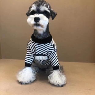 狗狗针织毛衣比熊小型犬贵宾雪纳瑞宠物衣服泰迪小猫咪秋冬装