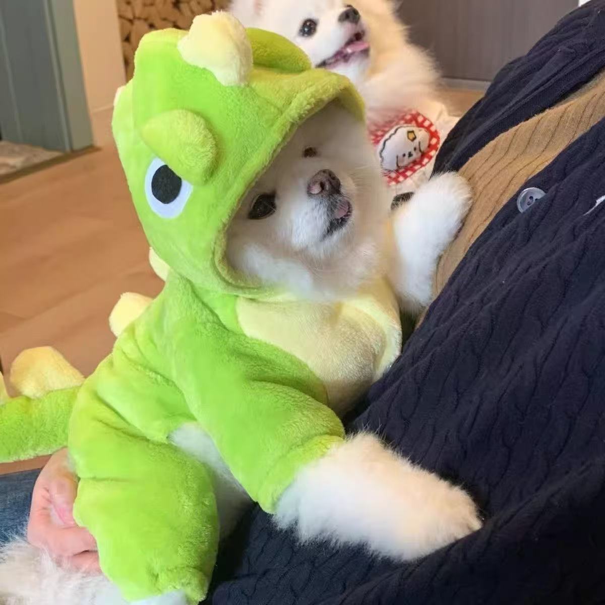 猫咪衣服秋冬季防掉毛加绒保暖四脚可爱金渐层布偶猫英短蓝猫冬装