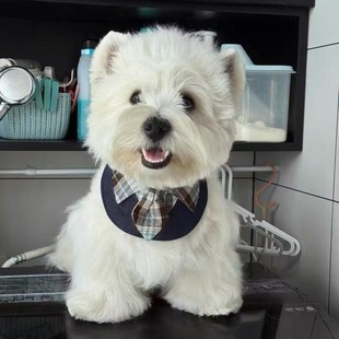猫咪狗狗三角巾围脖口水巾围巾领带披肩格子手工围兜百搭领结饰品