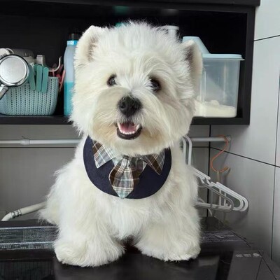 猫咪狗狗三角巾围脖口水巾围巾领带披肩格子手工围兜百搭领结饰品