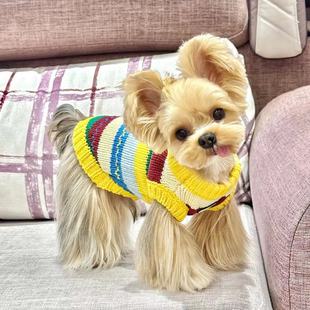 狗狗秋冬新款 约克夏背心彩虹毛衣比熊雪纳瑞针织马甲马尔济斯