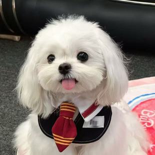 宠物口水巾格兰芬多狮院学院风猫咪围脖装 饰狗狗口水巾大型犬