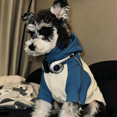 狗狗衣服小型犬雪纳瑞泰迪博美冬季保暖衣服宠物加厚加绒潮牌卫衣