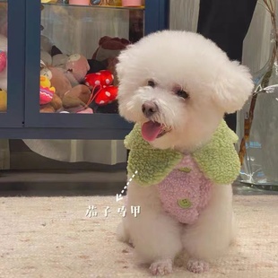 加厚宠物秋冬狗狗猫咪衣服加厚背心可爱胡萝卜棉衣变身装