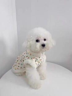 宠物衣服秋冬新款 外套 加绒夹棉牵引马甲泰迪比熊狗狗猫咪加厚开衫