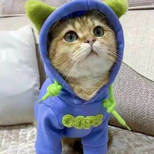 猫咪衣服潮牌宠物卫衣加厚保暖布偶银渐层英短幼猫小狗狗冬季 服饰